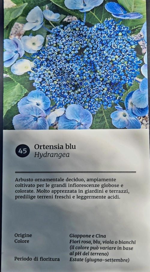 Objektbild